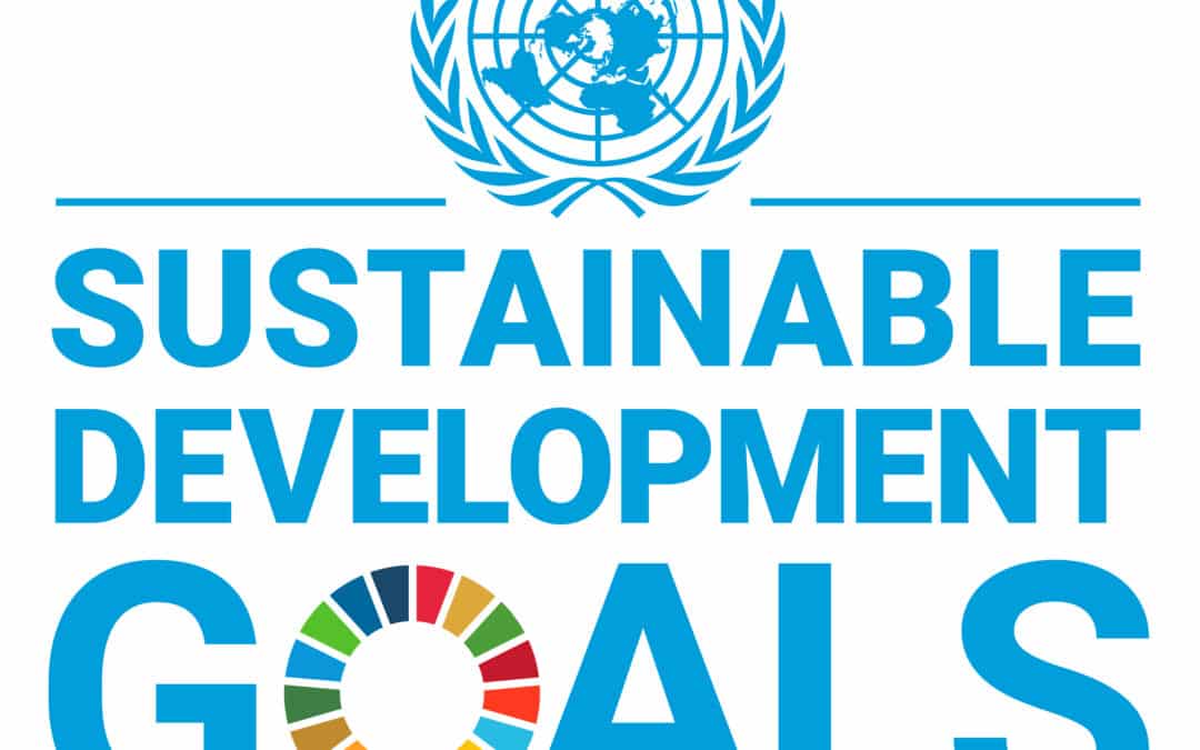 Tebrio renueva su compromiso con el Pacto Mundial de la ONU y consolida su avance en sostenibilidad corporativa