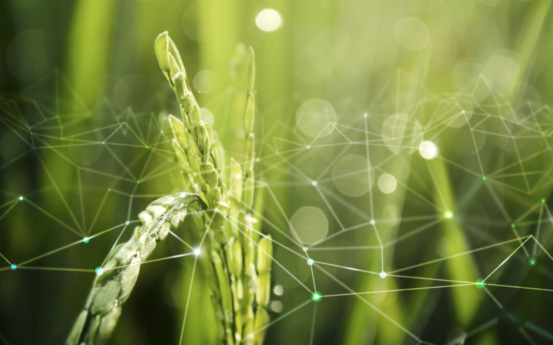 TEBRIO RECIBE LA CERTIFICACIÓN PARA AGRICULTURA ECOLÓGICA